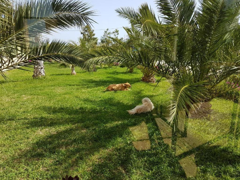 Les Jardins De Mogador Yoga Et Spa As-Sawíra Exteriér fotografie